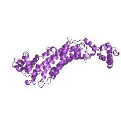 Example Structure of 3-Carboxy-cis,cis-muconate cycloisomerase EC#: 5.5.1.2