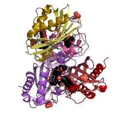 Example Structure of aklanonic acid methyl ester cyclase EC#: 5.5.1.23