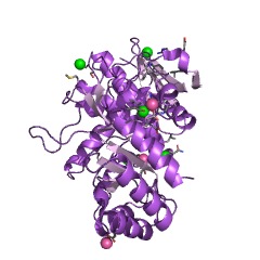 उदाहरण D-galactarolactone cycloisomerase EC #: 5.5.1.27 की संरचना