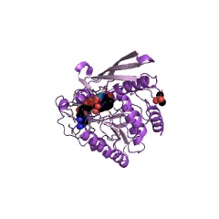 Example Structure of inositol-3-phosphate synthase EC#: 5.5.1.4