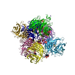 Example Structure of Carboxy-cis,cis-muconate cyclase EC#: 5.5.1.5