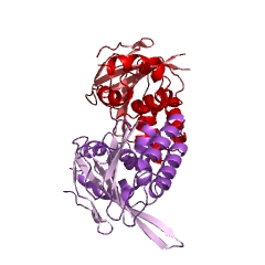 Example Structure of chalcone isomerase EC#: 5.5.1.6