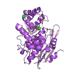 Example Structure of Chloromuconate cycloisomerase EC#: 5.5.1.7