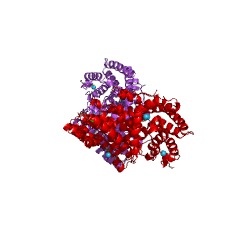 Example Structure of (+)-bornyl diphosphate synthase EC#: 5.5.1.8