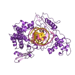 Example Structure of DNA topoisomerase EC#: 5.99.1.2