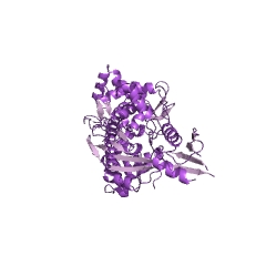 Estrutura de exemplo da topoisomerase de DNA (hidrólise de ATP) CE #: 5.99.1.3