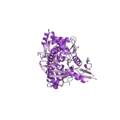 Estructura de ejemplo de ADN topoisomerasa (hidrolización de ATP) EC #: 5.99.1.3