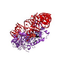 مثال ساختار تیروزین-tRNA لیگاز EC#: 6.1.1.1