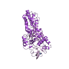 Example Structure of methionine-tRNA ligase EC#: 6.1.1.10
