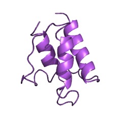 Estrutura de exemplo da D-alanina-poli (fosforibitol) ligase CE #: 6.1.1.13