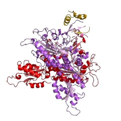 Example Structure of glycine-tRNA ligase EC#: 6.1.1.14