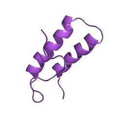 Example Structure of proline-tRNA ligase EC#: 6.1.1.15