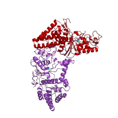 Example Structure of cysteine-tRNA ligase EC#: 6.1.1.16