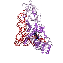 Estrutura de exemplo da glutamina-tRNA ligase EC #: 6.1.1.18