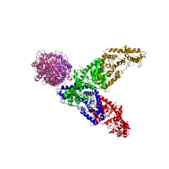 Estrutura de exemplo da triptofano-RNAt ligase EC #: 6.1.1.2