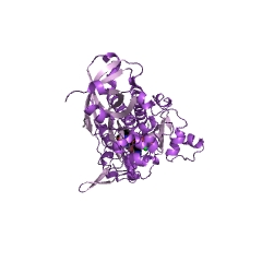 Beispielstruktur der Asparagin-tRNA-Ligase EC #: 6.1.1.22