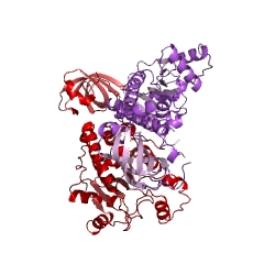 Example Structure of aspartate-tRNAAsn ligase EC#: 6.1.1.23