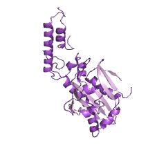 Example Structure of pyrrolysine-tRNAPyl ligase EC#: 6.1.1.26