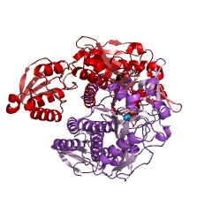 מבנה דוגמא של threonine-tRNA ligase EC #: 6.1.1.3