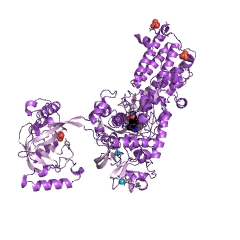 Contoh Struktur leusin-tRNA ligase EC #: 6.1.1.4