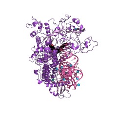 Beispielstruktur der Isoleucin-tRNA-Ligase EC #: 6.1.1.5