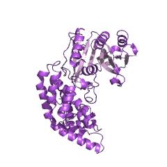 Contoh Struktur alanin-tRNA ligase EC #: 6.1.1.7