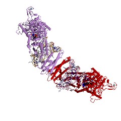 Example Structure of valine-tRNA ligase EC#: 6.1.1.9
