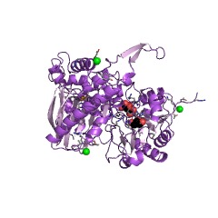 Example Structure of nebramycin 5' synthase EC#: 6.1.2.2