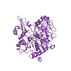 Example Structure of 4-coumarate-CoA ligase EC#: 6.2.1.12