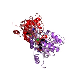 Example Structure of 6-carboxyhexanoate-CoA ligase EC#: 6.2.1.14