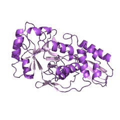 Example Structure of O-succinylbenzoate-CoA ligase EC#: 6.2.1.26