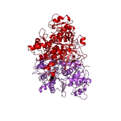 Example Structure of long-chain-fatty-acid-CoA ligase EC#: 6.2.1.3