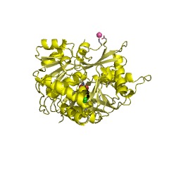 Example Structure of 4-chlorobenzoate-CoA ligase EC#: 6.2.1.33