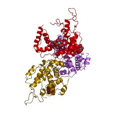 Example Structure of E1 ubiquitin-activating enzyme EC#: 6.2.1.45