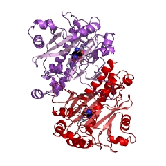 Example Structure of aspartate-ammonia ligase EC#: 6.3.1.1