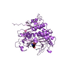 Example Structure of glutamate-putrescine ligase EC#: 6.3.1.11