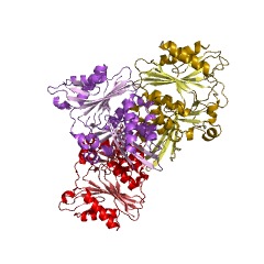 Example Structure of lipoate-protein ligase EC#: 6.3.1.20