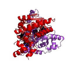 Example Structure of NAD+ synthase EC#: 6.3.1.5