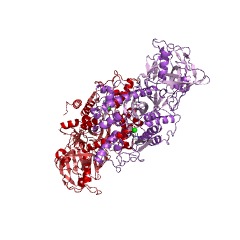 Example Structure of trypanothione synthase EC#: 6.3.1.9