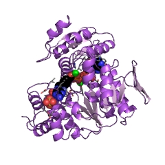 Example Structure of dihydrofolate synthase EC#: 6.3.2.12