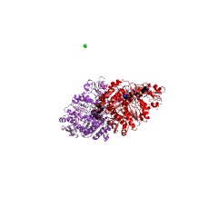 Example Structure of UDP-N-acetylmuramoyl-L-alanyl-D-glutamate-2,6-diaminopimelate ligase EC#: 6.3.2.13