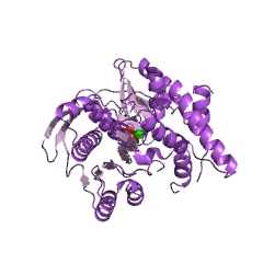Example Structure of tetrahydrofolate synthase EC#: 6.3.2.17