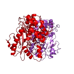 Example Structure of glutamate-cysteine ligase EC#: 6.3.2.2