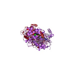 Example Structure of homoglutathione synthase EC#: 6.3.2.23