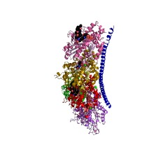 Example Structure of tubulin-tyrosine ligase EC#: 6.3.2.25