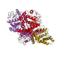 Example Structure of N-(5-amino-5-carboxypentanoyl)-L-cysteinyl-D-valine synthase EC#: 6.3.2.26