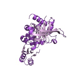 Example Structure of glutathione synthase EC#: 6.3.2.3
