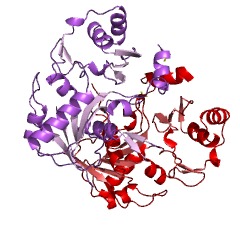 Example Structure of coenzyme F420-0:L-glutamate ligase EC#: 6.3.2.31