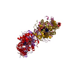 Example Structure of 4-phosphopantoate-beta-alanine ligase EC#: 6.3.2.36