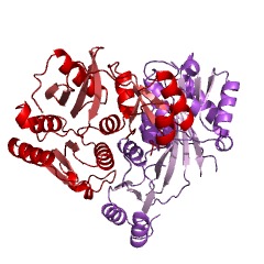 Example Structure of [lysine-biosynthesis-protein LysW]-L-2-aminoadipate ligase EC#: 6.3.2.43